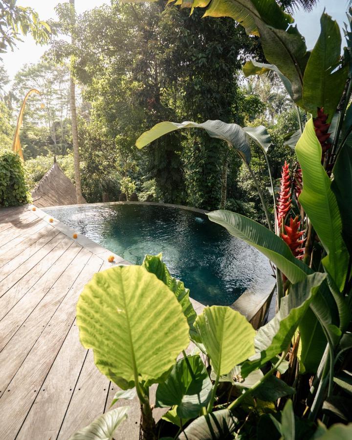 Basundari Retreat Ubud Hotell Eksteriør bilde